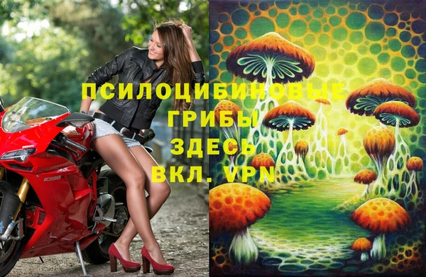 молекула духа Алексеевка