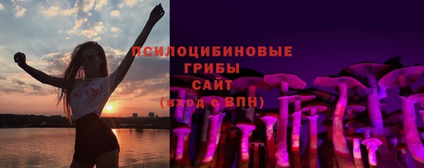 молекула духа Алексеевка