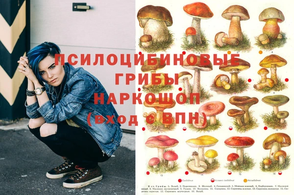 молекула духа Алексеевка
